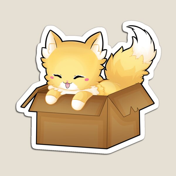 This Is My Box Magnet