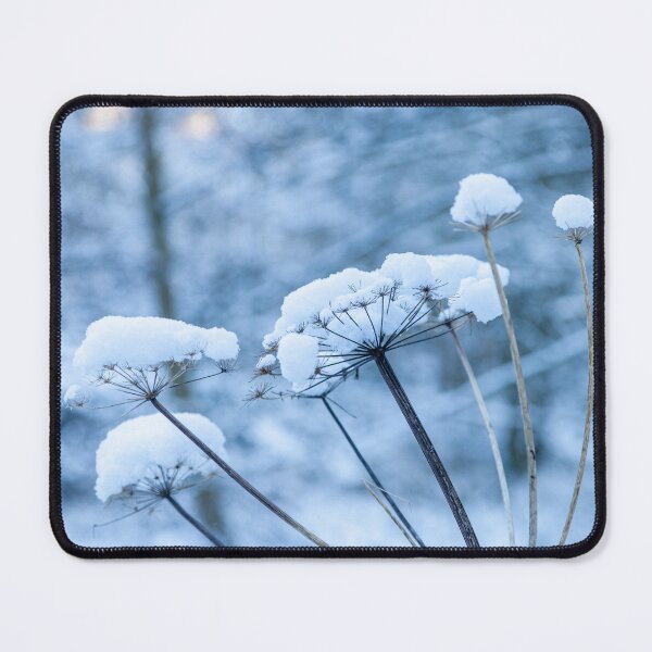 Item preview, Cow Parsley blue version in the snow designed and sold by Dalyndigital Photography.