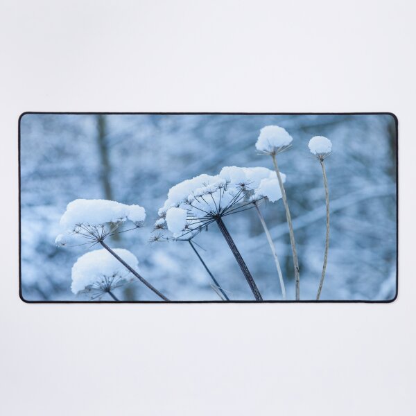 Item preview, Cow Parsley blue version in the snow designed and sold by Dalyndigital Photography.