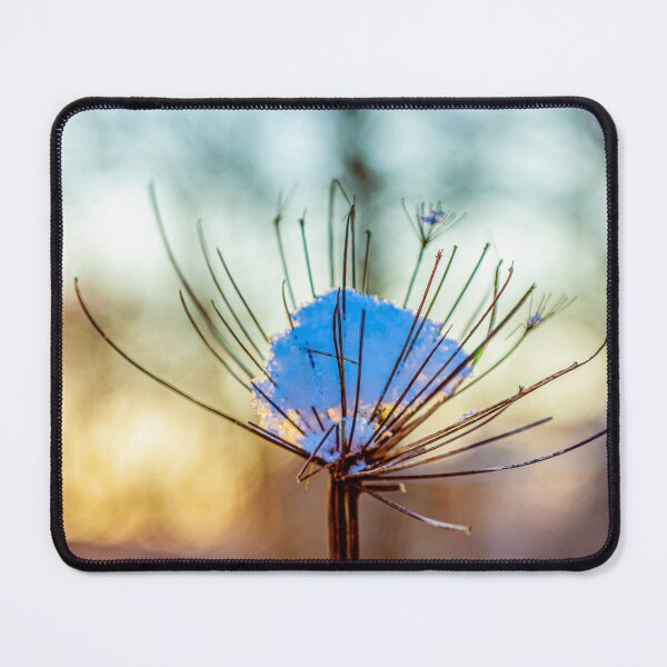 Item preview, cow parsley in the snow designed and sold by Dalyndigital Photography.