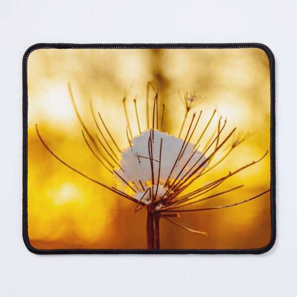 Item preview, Cow parsley in the snow at sunset designed and sold by Dalyndigital Photography.