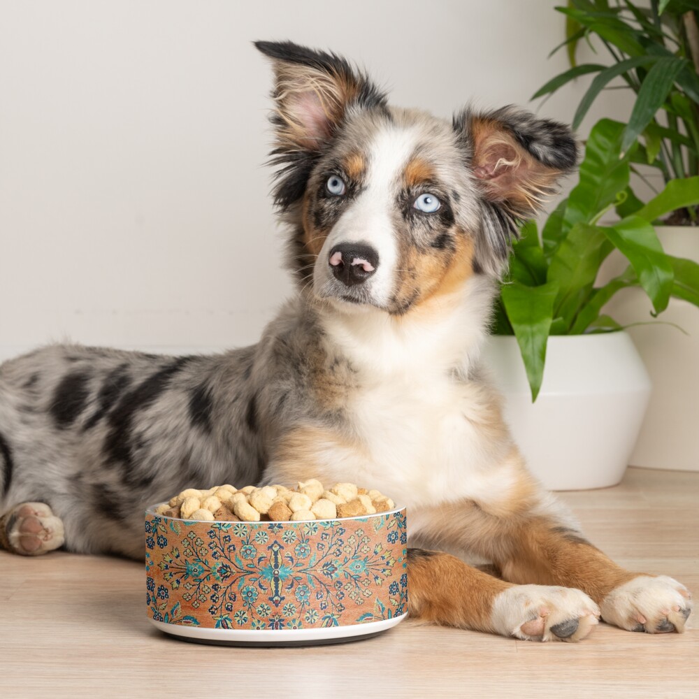 Item preview, Pet Bowl designed and sold by bragova.