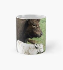 Mutter & Sohn (3 Std. Alt) - Murray Grey Cattle, Koroit, Vic. Australien Tasse (Standard)