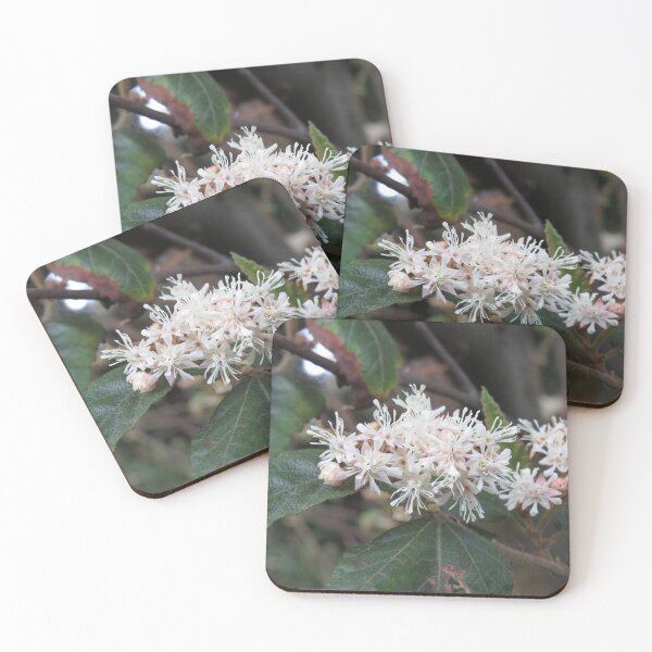 Item preview, Fringy flowers designed and sold by greentiger1.