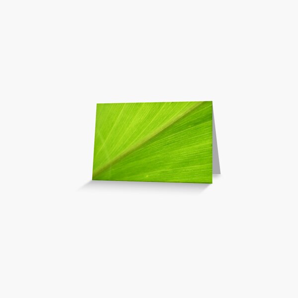Green Greeting Card