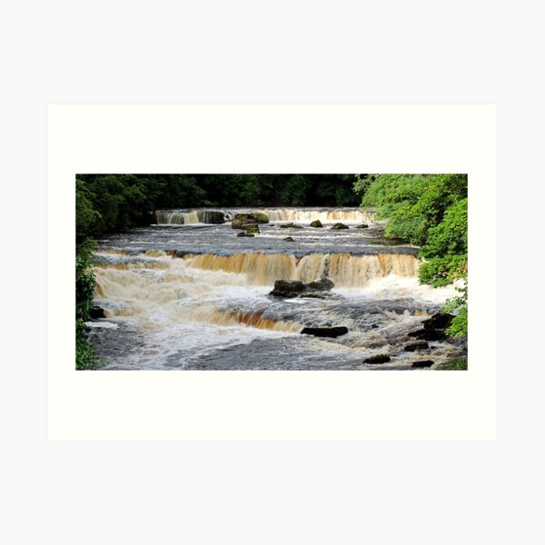 Aysgarth Upper Falls Art Print