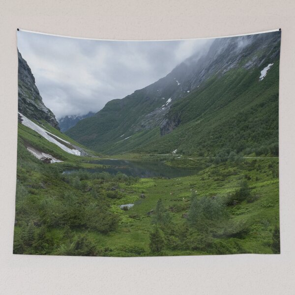 Item preview, Wonderful landscapes in Norway. Vestland. Beautiful scenery of Urasetra and surroundings. Cows, lake, road and snowed mountain. Paradise and heaven. Cloudy day designed and sold by Maurizio Fabbroni.