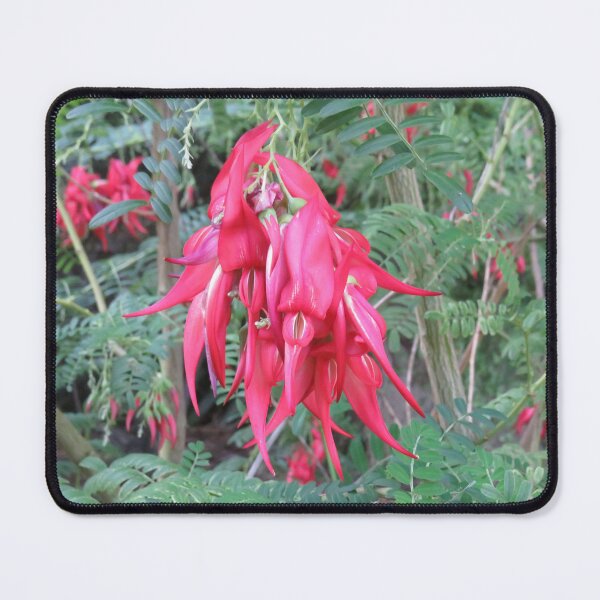 Item preview, Red kaka beak designed and sold by greentiger1.