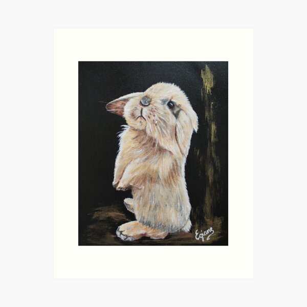 petit lapin belier Impression artistique