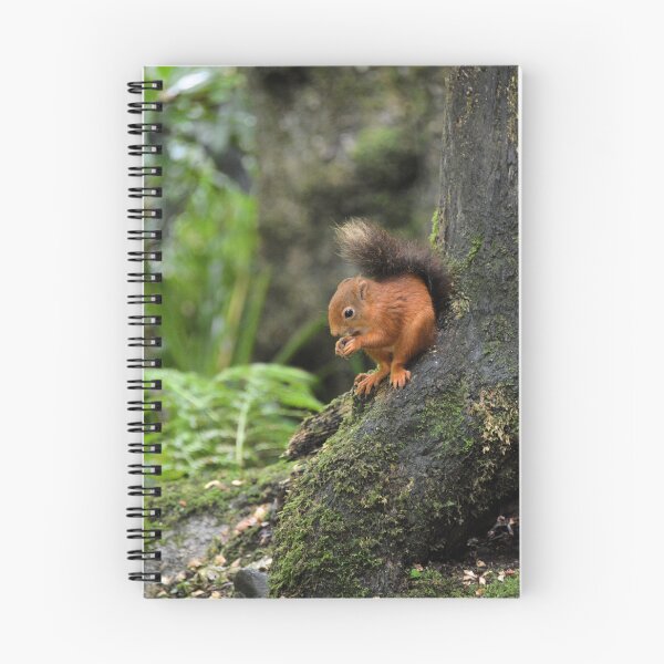 Item preview, Red Squirrel 2 designed and sold by waylander99uk.