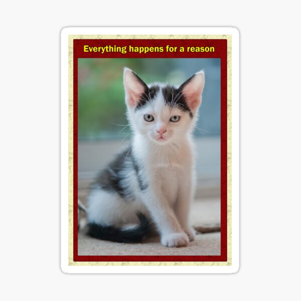 Everything happens for a reason Sticker