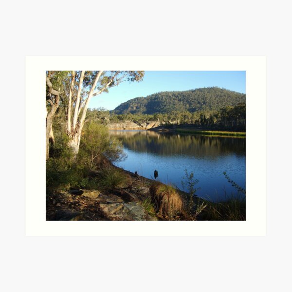 Dunns Swamp#2 Art Print