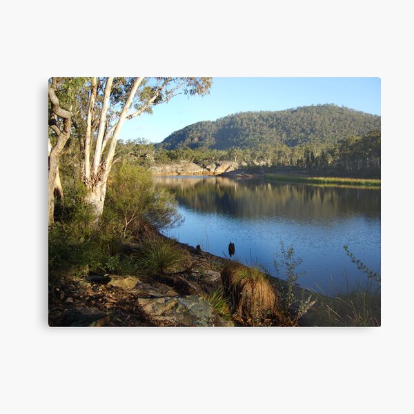 Dunns Swamp#2 Metal Print