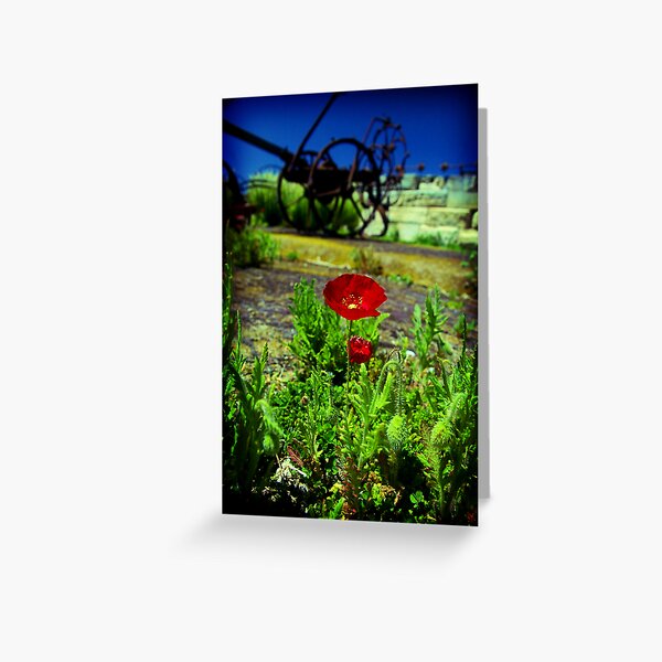 Item preview, Tall poppy syndrome designed and sold by Bernadette Maurer.