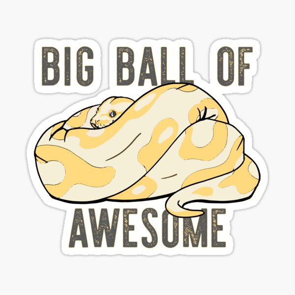Item preview, Ball Python designed and sold by Salt & Keep.