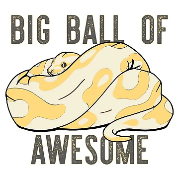 Vorschaubild zum Design Ball Python von Salt & Keep
