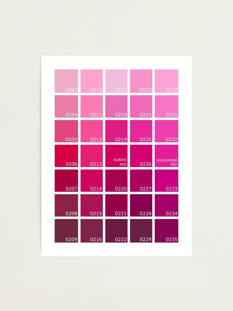Shades of Pink Pantone Poster
