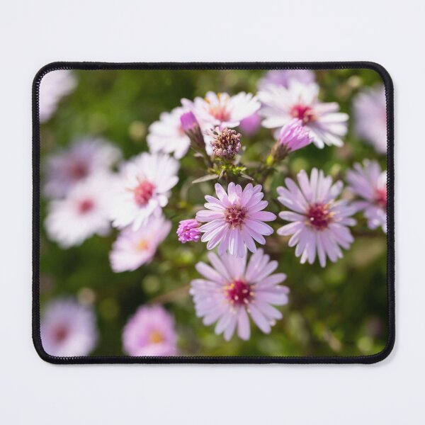 Item preview, Little Asters designed and sold by Tanya C  Smith.