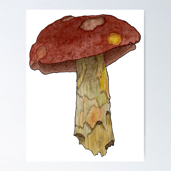 Item preview, Bolete Mushroom designed and sold by branther.