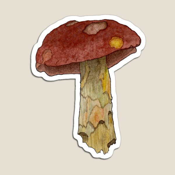 Item preview, Bolete Mushroom designed and sold by branther.