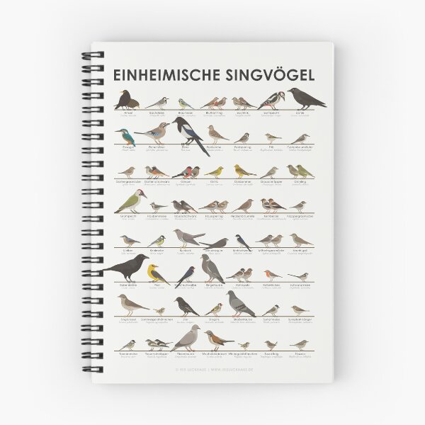 Item preview, Native Songbirds, Garden Birds, Birds Infographic / Display Board (German) designed and sold by Iris Luckhaus.