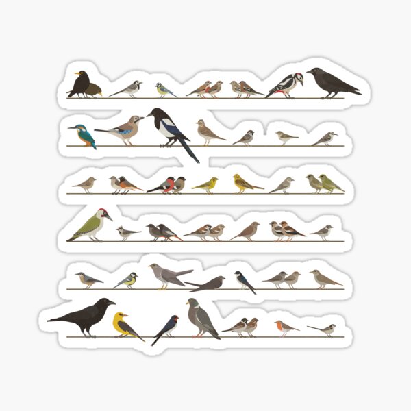 Beautifully Designed Bird Breed Sticker Set Sticker for Sale by Claire  Stamper