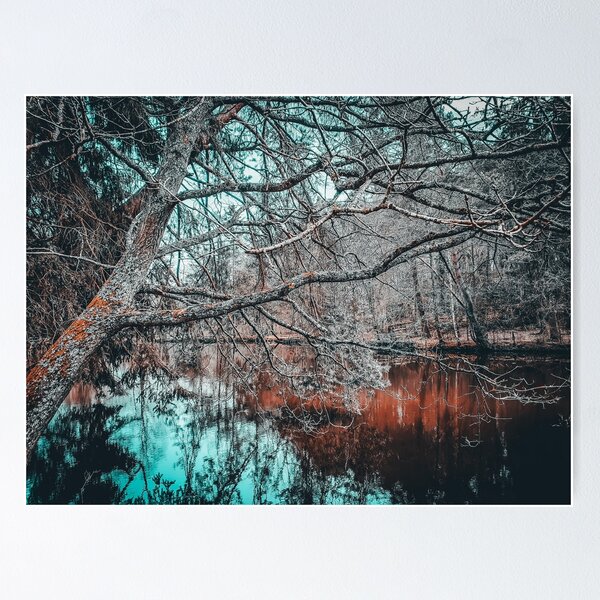 Dark Waters - Magical autumnal lake in the Palatinate Forest Poster