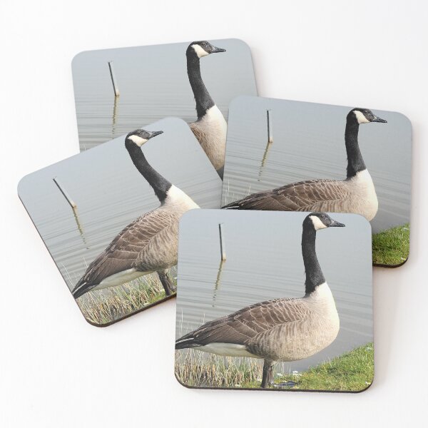 Item preview, wild goose, gift, beautiful, nature designed and sold by AnnaMartaFoley.