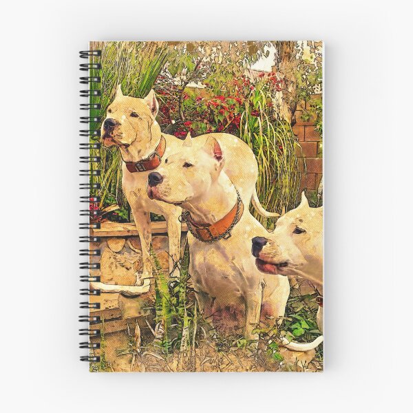 Item preview, Four Dogos Argentinos waiting for food - digital painting designed and sold by NickoPrints.
