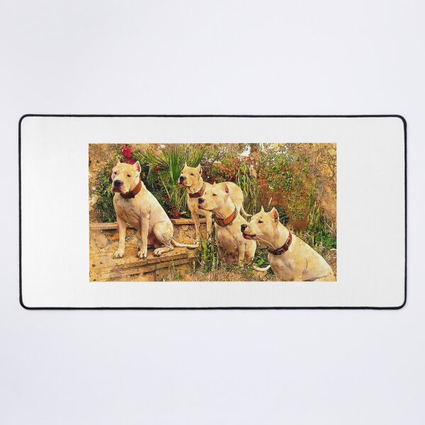 Item preview, Four Dogos Argentinos waiting for food - digital painting designed and sold by NickoPrints.