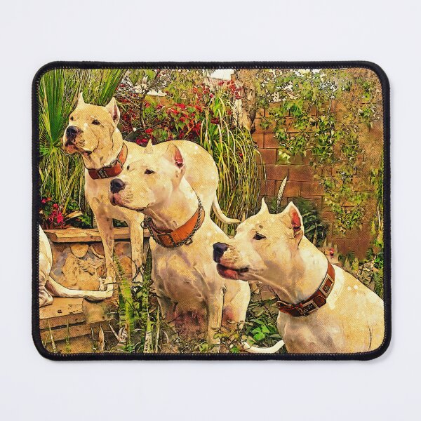 Item preview, Four Dogos Argentinos waiting for food - digital painting designed and sold by NickoPrints.