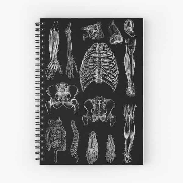 Item preview, Vintage human anatomy designed and sold by Preslava Genova.