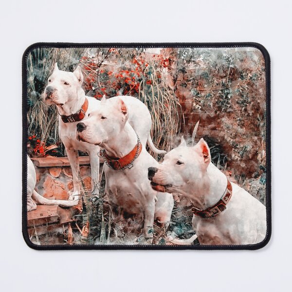 Item preview, Four Dogos Argentinos waiting for food - ink and watercolor designed and sold by NickoPrints.