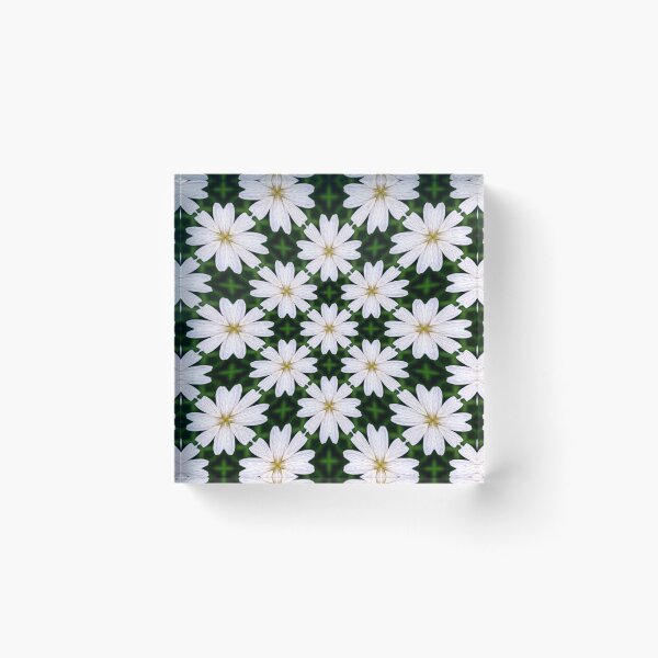 Item preview, White Marguerite Pattern designed and sold by Patternflower.