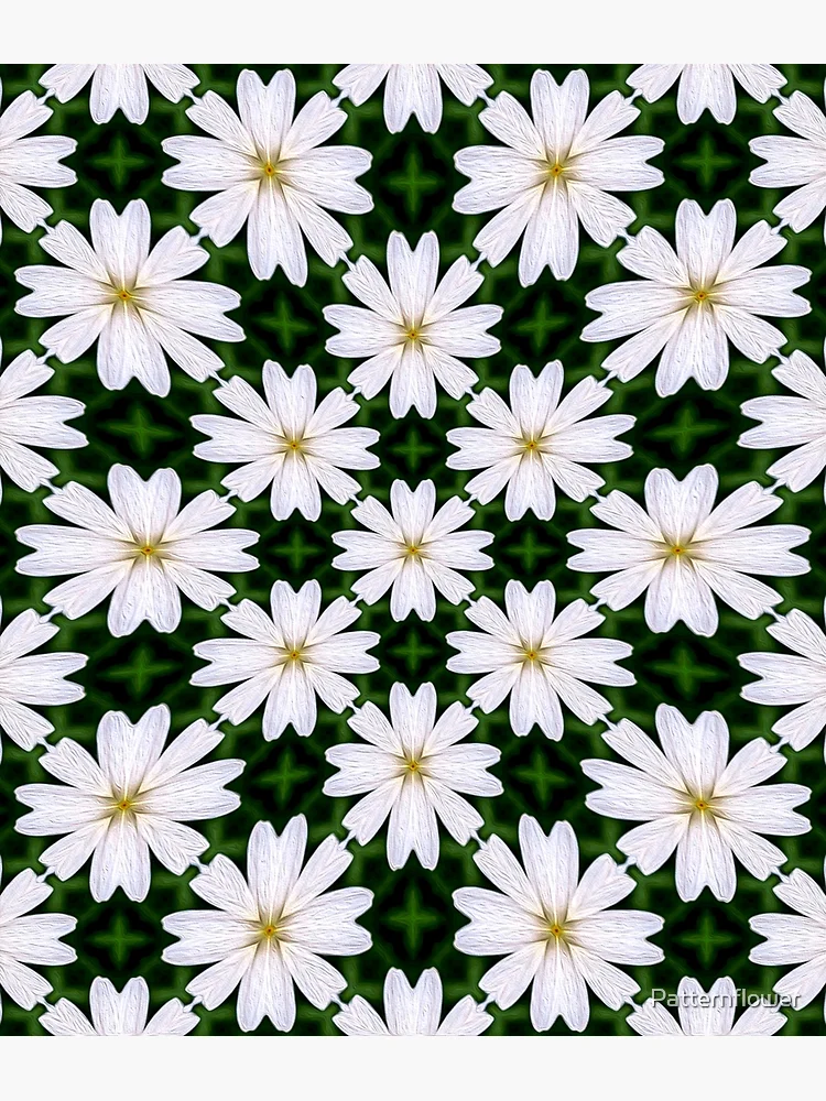 Thumbnail 2 of 2, Postcard, White Marguerite Pattern designed and sold by Patternflower.