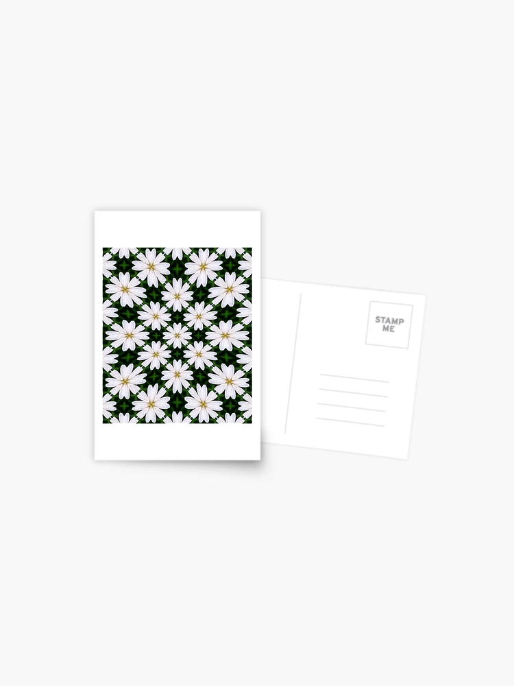 Thumbnail 1 of 2, Postcard, White Marguerite Pattern designed and sold by Patternflower.