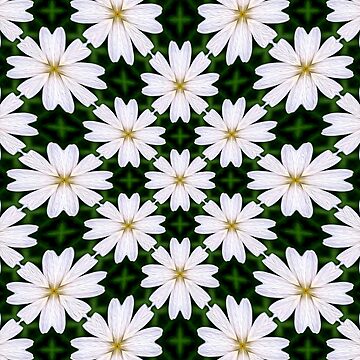 Artwork thumbnail, White Marguerite Pattern by Patternflower