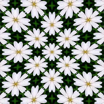 Artwork thumbnail, White Marguerite Pattern by Patternflower