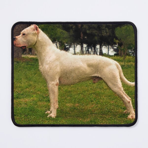Item preview, Dogo Argentino in the woods - digital painting designed and sold by NickoPrints.