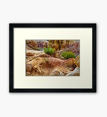 Geological Playground Framed Print