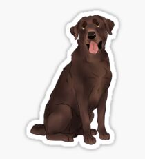 Chocolate Labrador Sticker