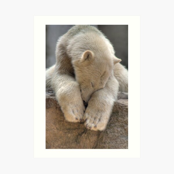 Polar Bear Art Print