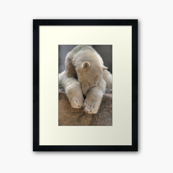 Polar Bear Framed Art Print