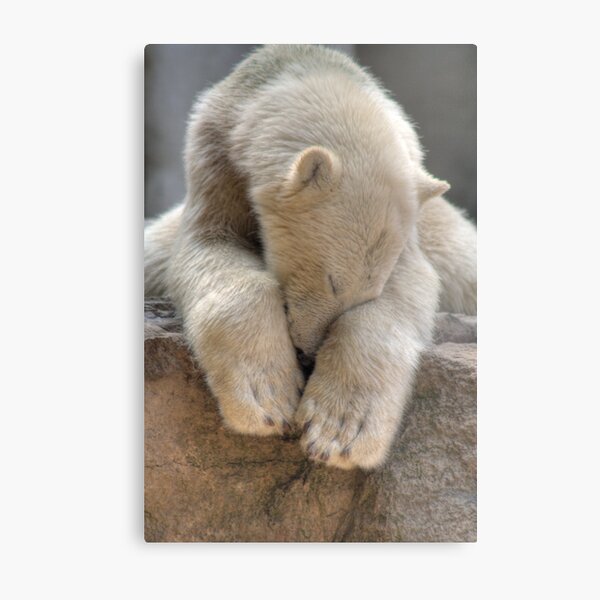Polar Bear Metal Print