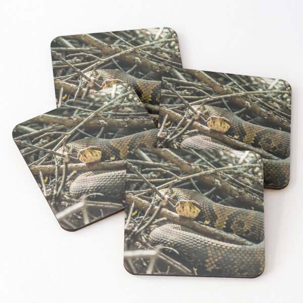 Item preview, cottonmouth designed and sold by KensLensDesigns.