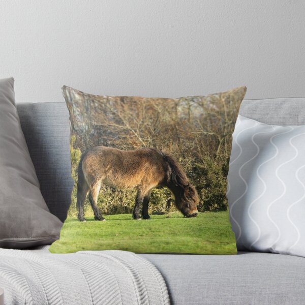 Artikelvorschau, Exmoor Pony entworfen und verkauft von afh1066.