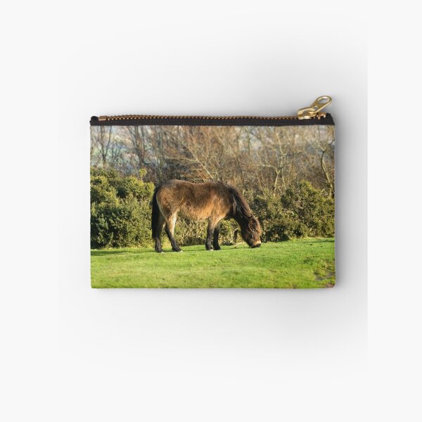 Artikelvorschau, Exmoor Pony entworfen und verkauft von afh1066.