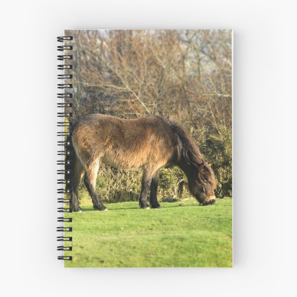 Aperçu de l'œuvre Exmoor Pony créée et vendue par afh1066.