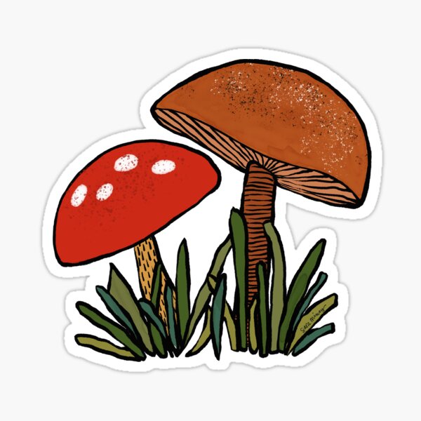 Red Mushroom Brown Mushroom Sticker