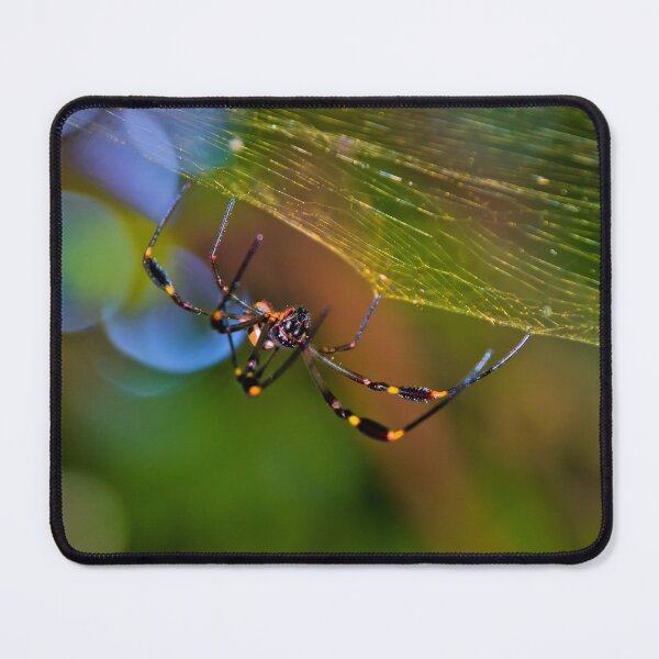 Item preview, Sticky Feet Have Their Uses designed and sold by alabca.